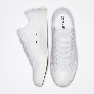 CHUCK TAYLOR ALL STAR MONO CANVAS LOW TOP